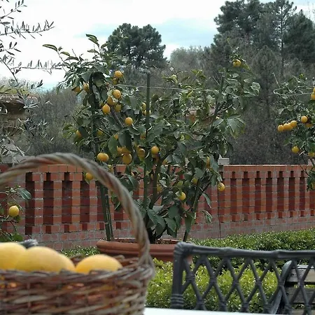Borgo Della Limonaia-2 By Interhome Pieve a Nievole
